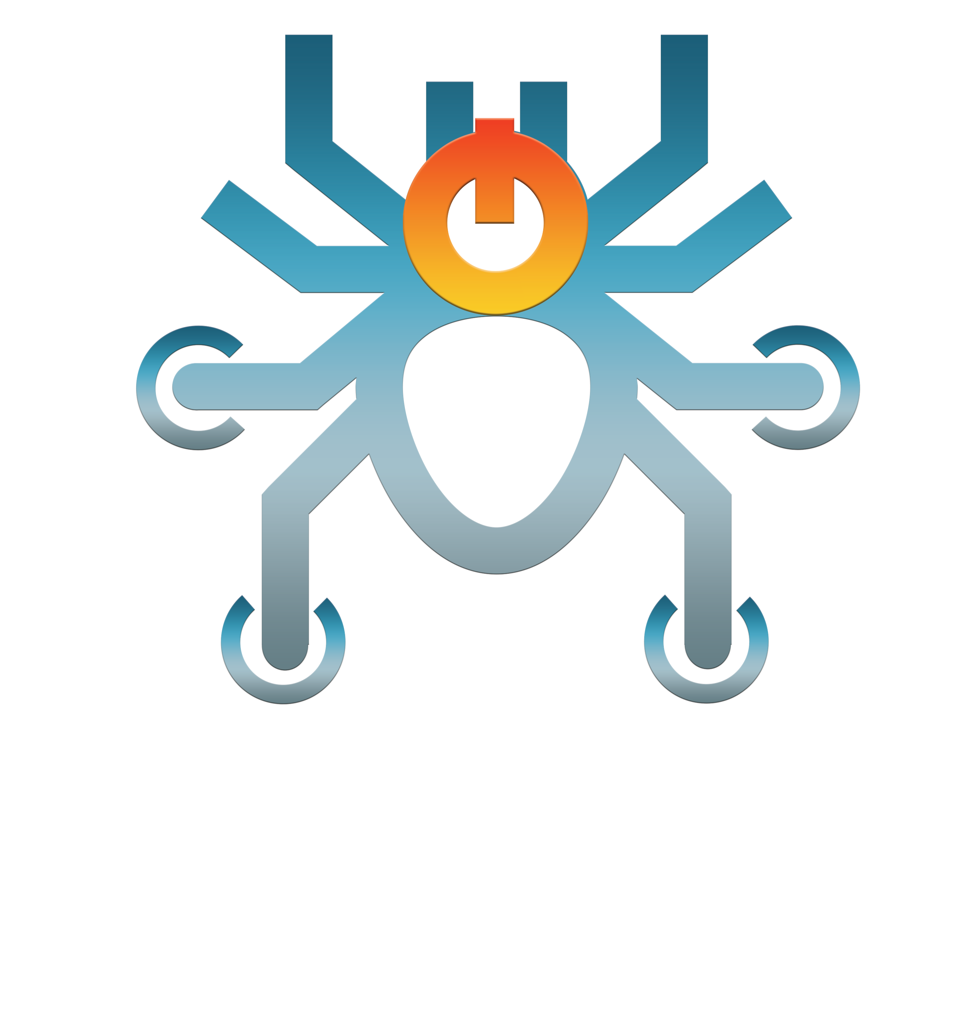 SPIDR WEB SERVICES